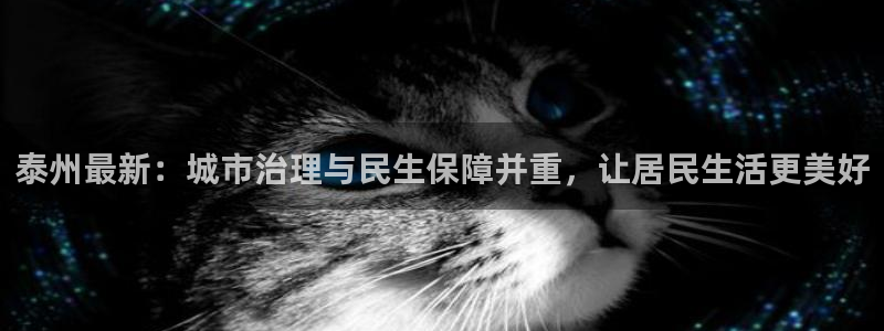 泰州最新：城市治理与民生保障并重，让居民生活更美好