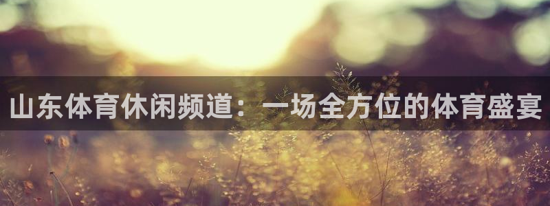 山东体育休闲频道：一场全方位的体育盛宴