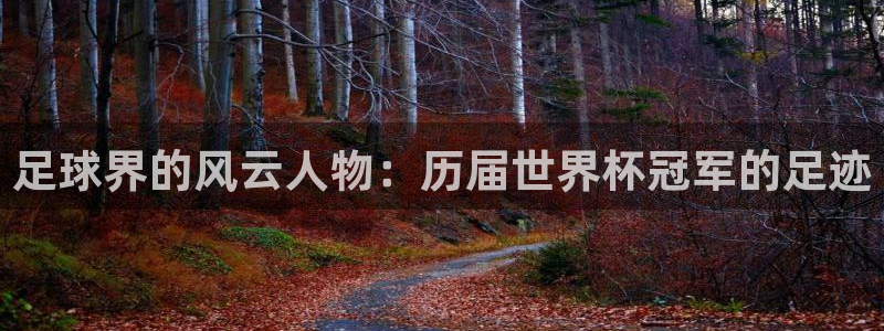 足球界的风云人物：历届世界杯冠军的足迹