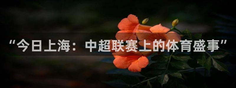 “今日上海：中超联赛上的体育盛事”