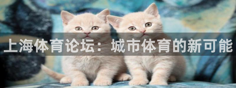 上海体育论坛：城市体育的新可能