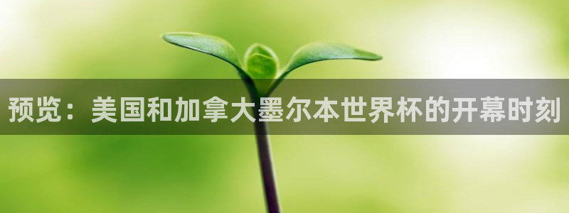 预览：美国和加拿大墨尔本世界杯的开幕时刻