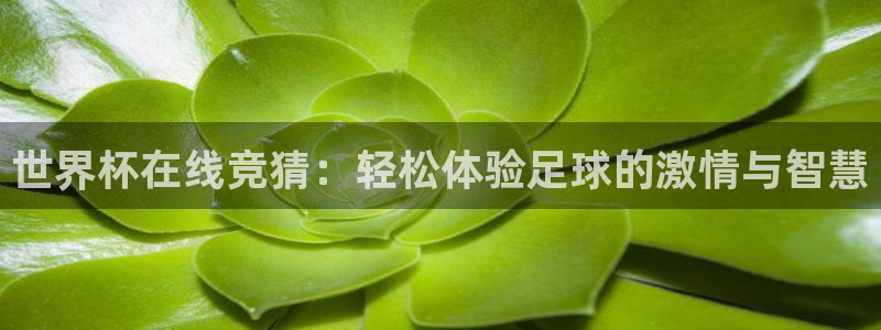 世界杯在线竞猜：轻松体验足球的激情与智慧