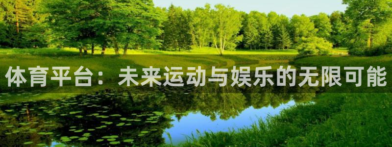 体育平台：未来运动与娱乐的无限可能
