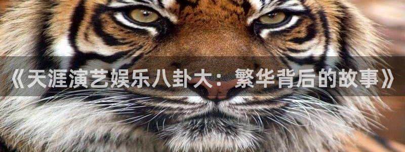 《天涯演艺娱乐八卦大：繁华背后的故事》