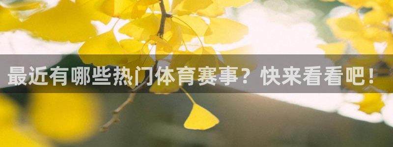 最近有哪些热门体育赛事？快来看看吧！