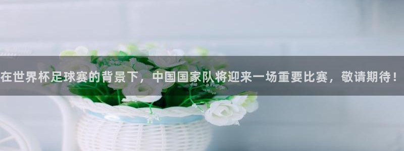 在世界杯足球赛的背景下，中国国家队将迎来一场重要比赛，敬请期待！