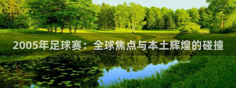 2005年足球赛：全球焦点与本土辉煌的碰撞