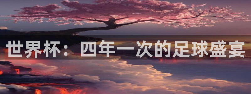 世界杯：四年一次的足球盛宴