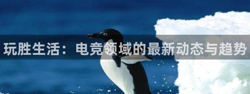 玩胜生活：电竞领域的最新动态与趋势