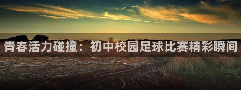 青春活力碰撞：初中校园足球比赛精彩瞬间