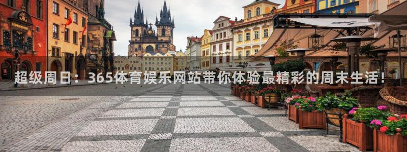 超级周日：365体育娱乐网站带你体验最精彩的周末生活！