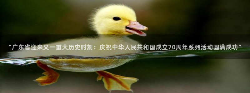 “广东省迎来又一重大历史时刻：庆祝中华人民共和国成立70周年系列活动圆满成功”