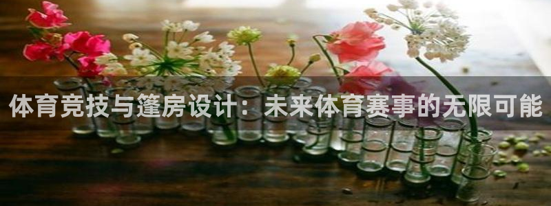 体育竞技与篷房设计：未来体育赛事的无限可能