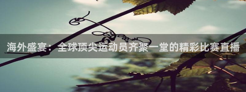海外盛宴：全球顶尖运动员齐聚一堂的精彩比赛直播
