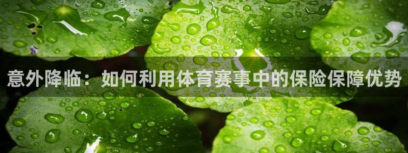 意外降临：如何利用体育赛事中的保险保障优势