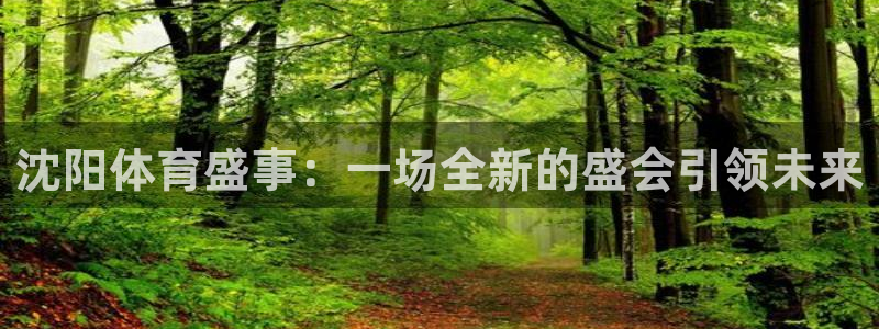 沈阳体育盛事：一场全新的盛会引领未来
