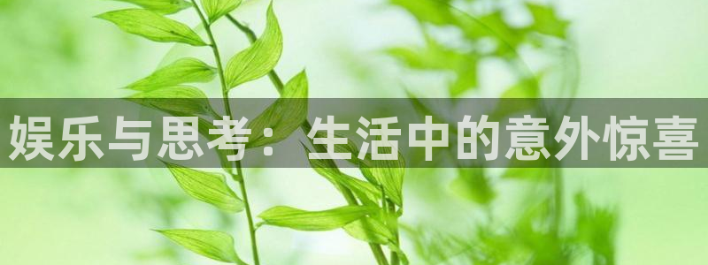 娱乐与思考：生活中的意外惊喜