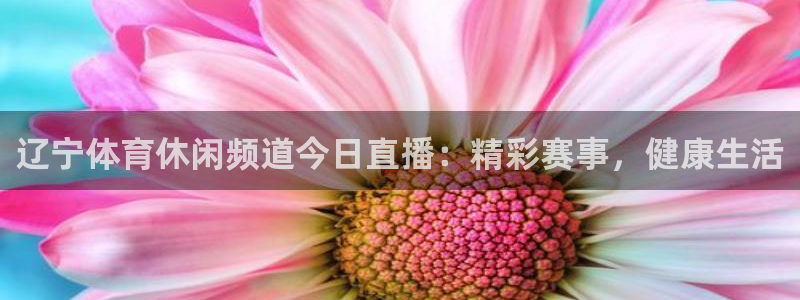 辽宁体育休闲频道今日直播：精彩赛事，健康生活