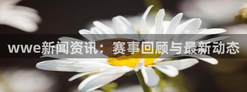 wwe新闻资讯：赛事回顾与最新动态