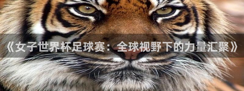 《女子世界杯足球赛：全球视野下的力量汇聚》