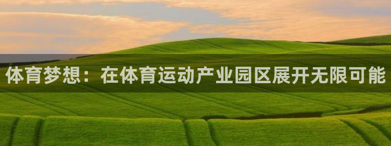 体育梦想：在体育运动产业园区展开无限可能