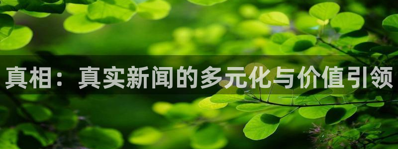 真相:真实新闻的多元化与价值引领