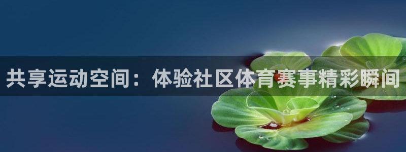 共享运动空间：体验社区体育赛事精彩瞬间